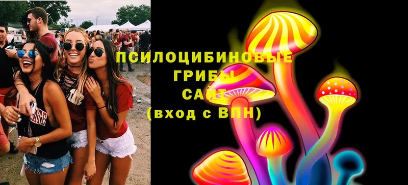 хочу   Серафимович  Псилоцибиновые грибы Cubensis 